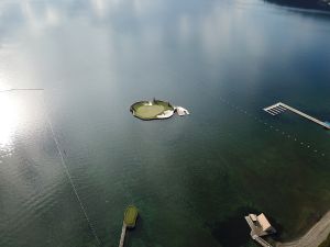 CDA Resort 14th Hole Aerial